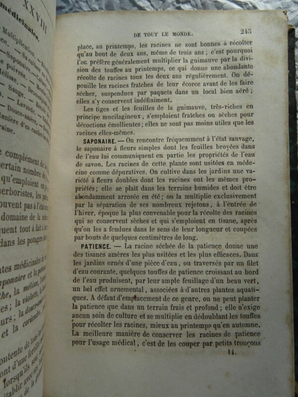 Jardin YSABEAU A. LE JARDINIER DE TOUT LE MONDE - TRAITE COMPLET DE TOUTES LES.. – Image 4
