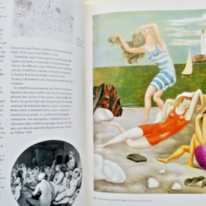 PICASSO musée les chefs d'oeuvre PARIS 1991