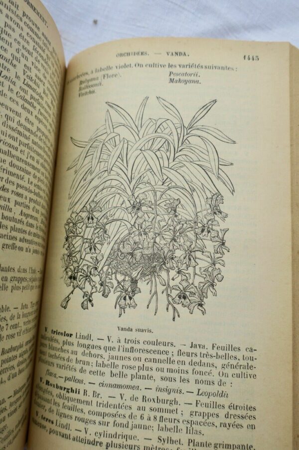 jardin Le nouveau jardinier illustré 1905 – Image 12