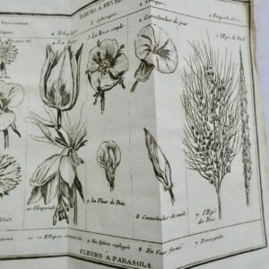 Bernardin études de la nature1787 + voeux d'un solitaire