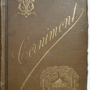 CHICHINETTE my chicken eat par Pégé de Céhel 1882