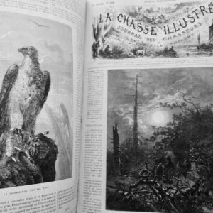 Chasse illustrée - Journal des chasseurs et de la vie à la campagne 1880
