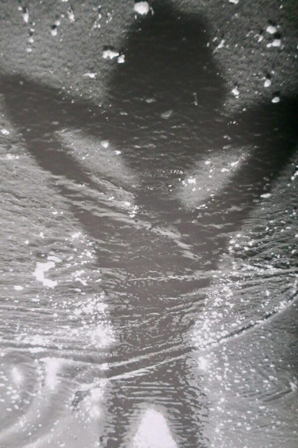 Clergue Lucien Née de la vague – Image 4