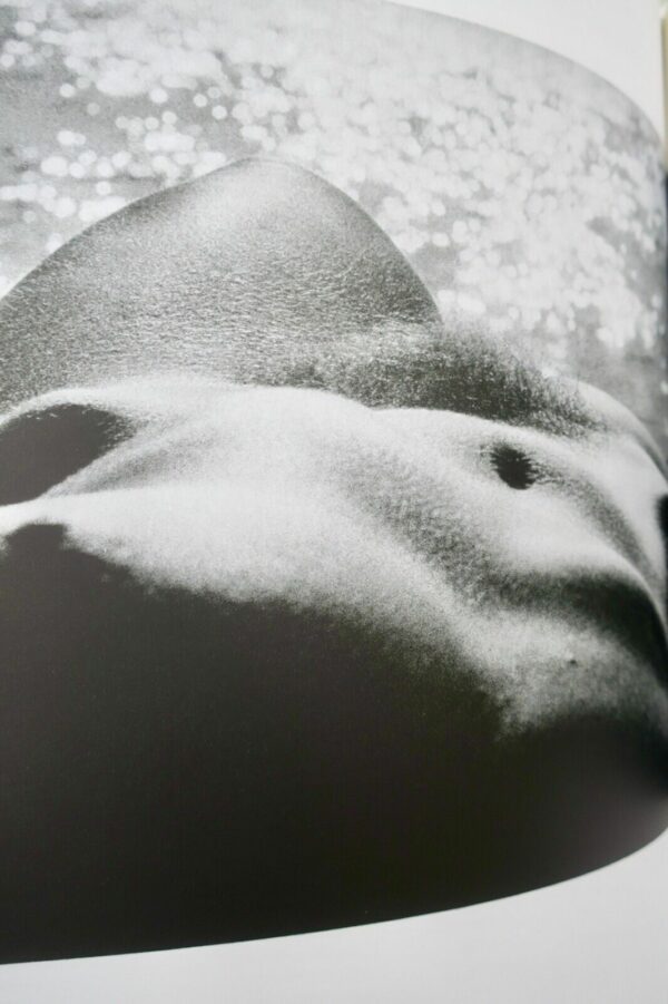 Clergue Lucien Née de la vague – Image 7