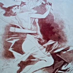 DESSINATEURS DU COURRIER FRANCAIS. Catalogue Album