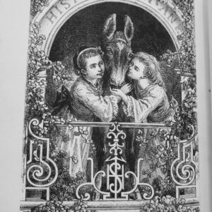 HISTOIRE D'UN ANE ET DE DEUX JEUNES FILLES Hetzel