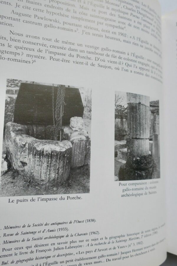 SAINTONGE L'Eguille en Saintonge – Image 12