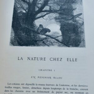Théophile Gautier eaux-fortes de K. Bodmer La nature chez elle 1870
