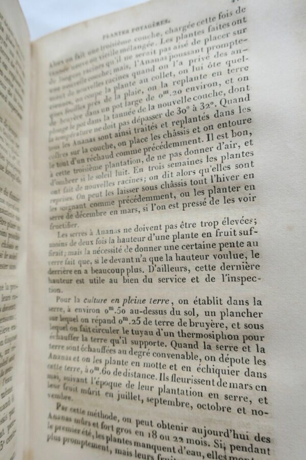 jardin Le Bon Jardinier. Almanach horticole pour L'Année 1866 – Image 4