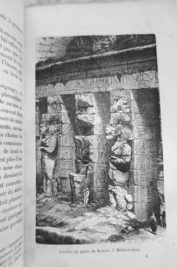 Colosses anciens et modernes 1876