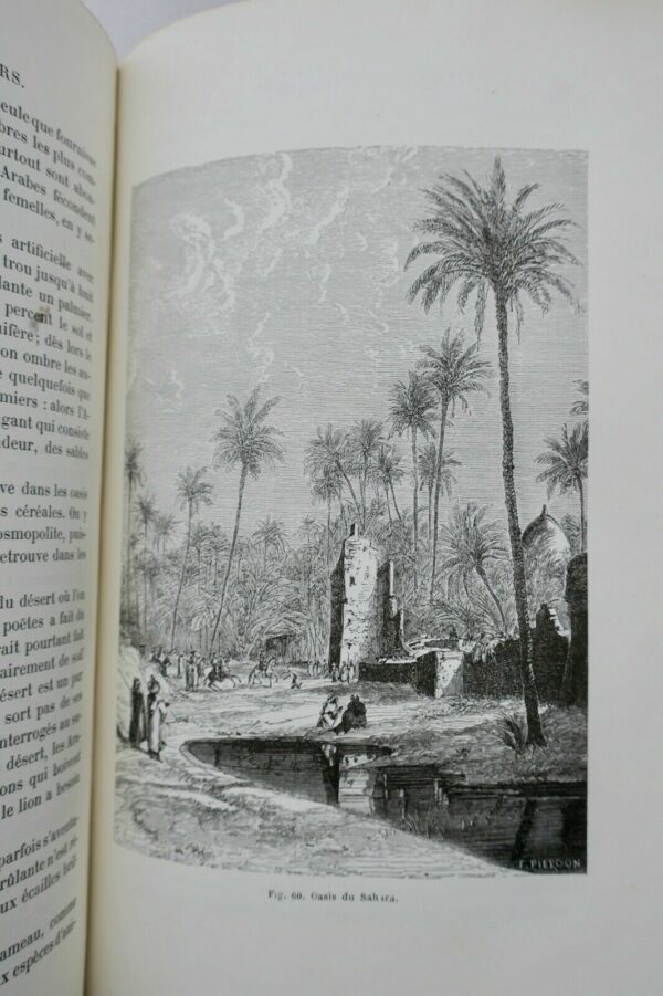 Figuier La terre et les mers ou description physique du globe 1874 – Image 12