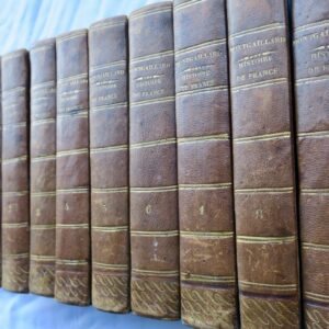 Histoire de France (illustrée) 13 vol. MONTGAILLARD