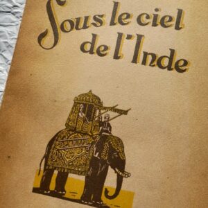 INDE FIA OHMAN Sous le ciel de l'Inde