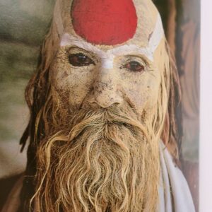 Inde sacrée des Sadhus
