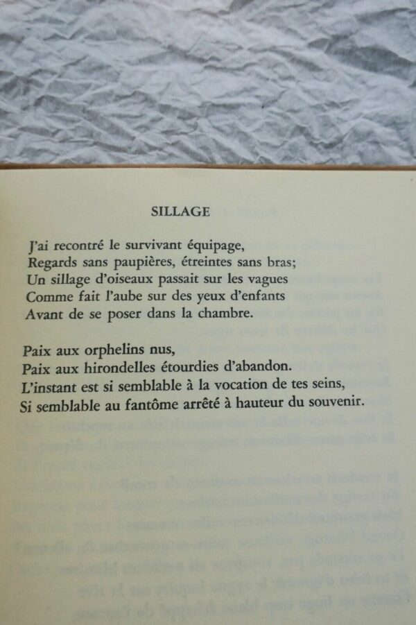 Innocence des Solitudes Edmond Vandercammen – Image 4