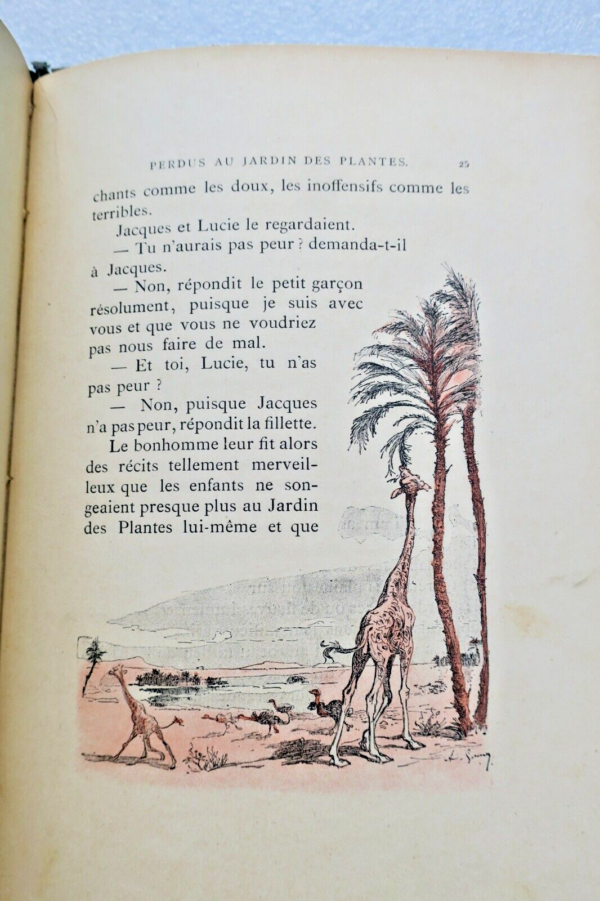 Perdu au jardin des plantes – Image 5