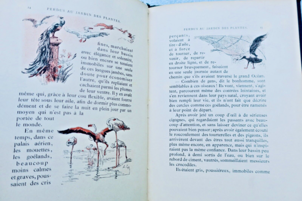 Perdu au jardin des plantes – Image 6