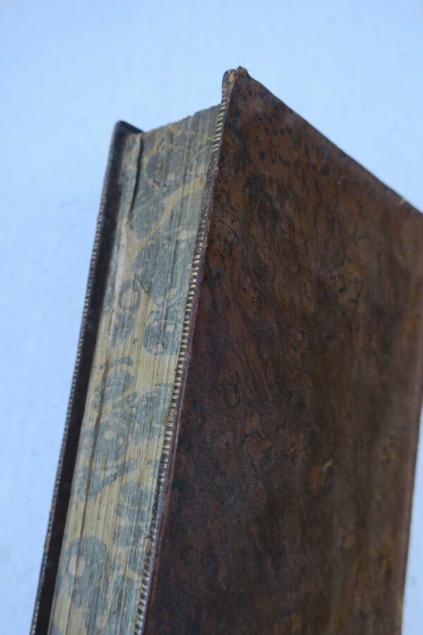 VIES DES SAINTS POUR TOUS LES JOURS DE L'ANNEE 1833 – Image 3