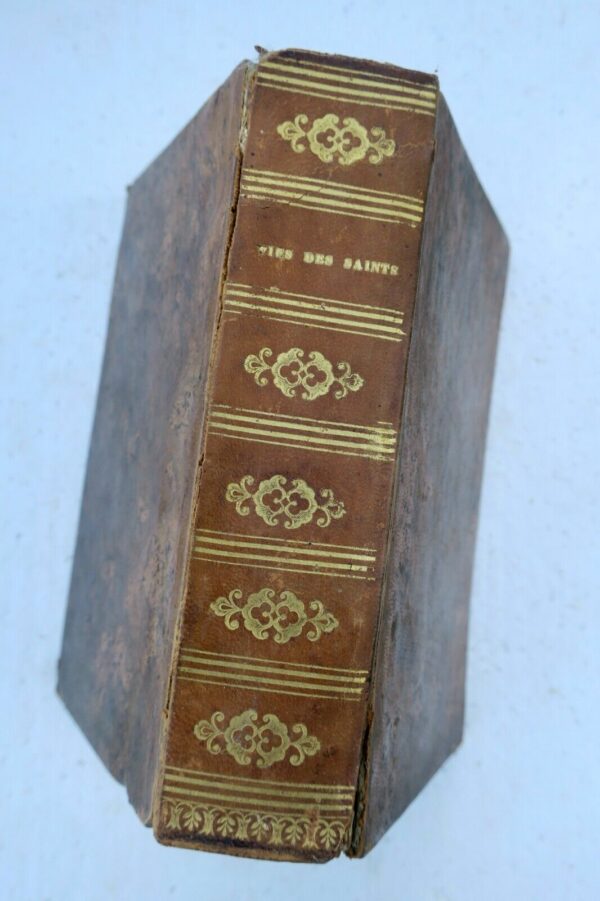 VIES DES SAINTS POUR TOUS LES JOURS DE L'ANNEE 1833