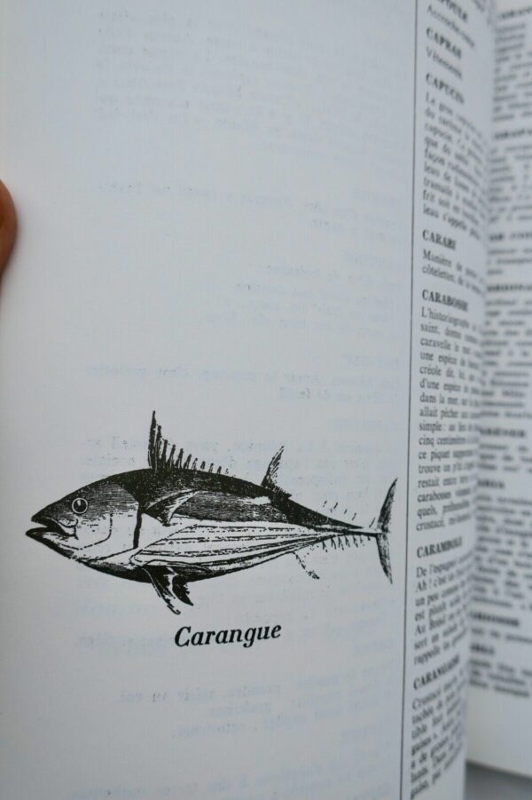 Créole : P'tit Glossaire Le Piment de La Langue Créole : P'tit Glossaire – Image 7