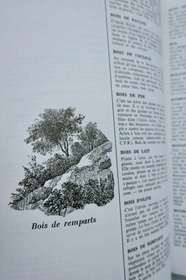 Créole : P'tit Glossaire Le Piment de La Langue Créole : P'tit Glossaire – Image 8