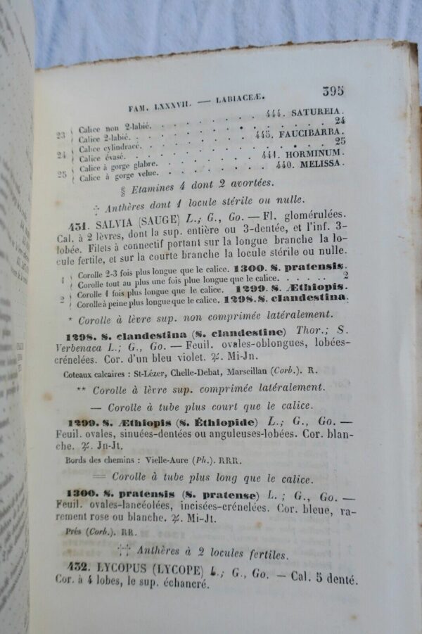 Flore  Departement des Hautes-Pyrenees 65. 1867 – Image 3