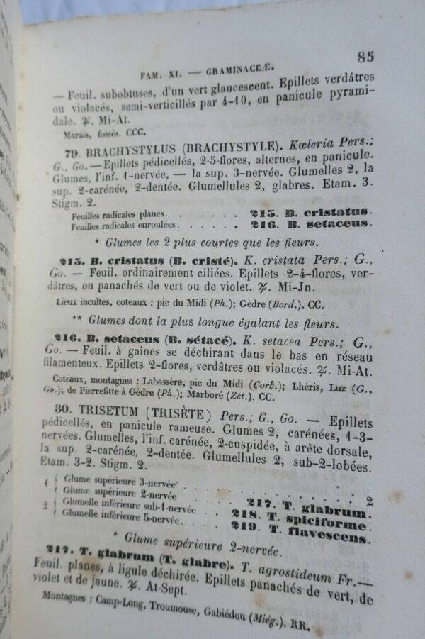 Flore  Departement des Hautes-Pyrenees 65. 1867 – Image 6