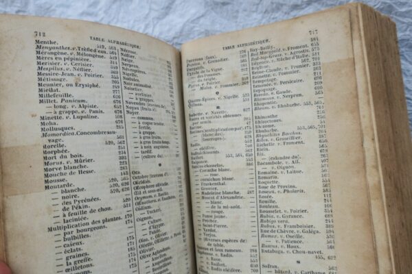JARDIN bon jardinier. Almanach agricole pour l'année 1874 – Image 4