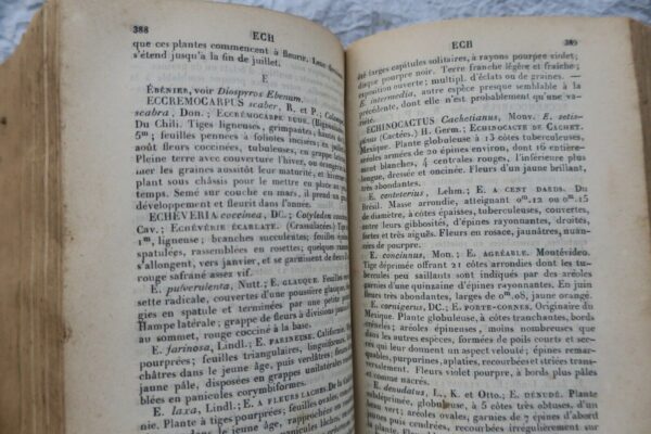 JARDIN bon jardinier. Almanach agricole pour l'année 1874 – Image 10