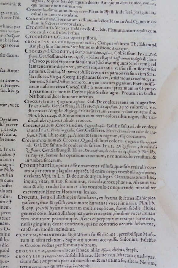 Latin dictionnaire Ambrosii Calepini dictionarium  XVII ème – Image 6