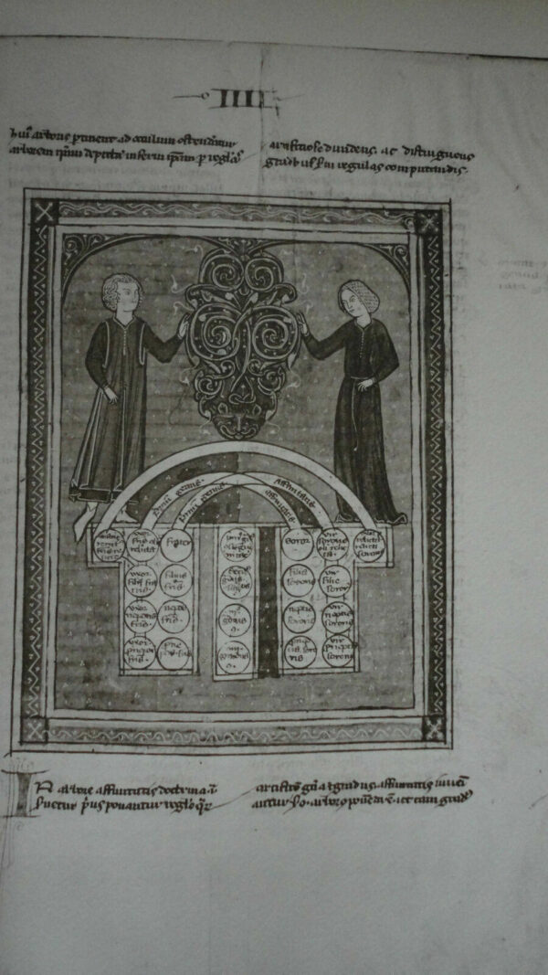 Manuscrits Avec Miniatures Du IX Au XV Siecle  1909 – Image 7