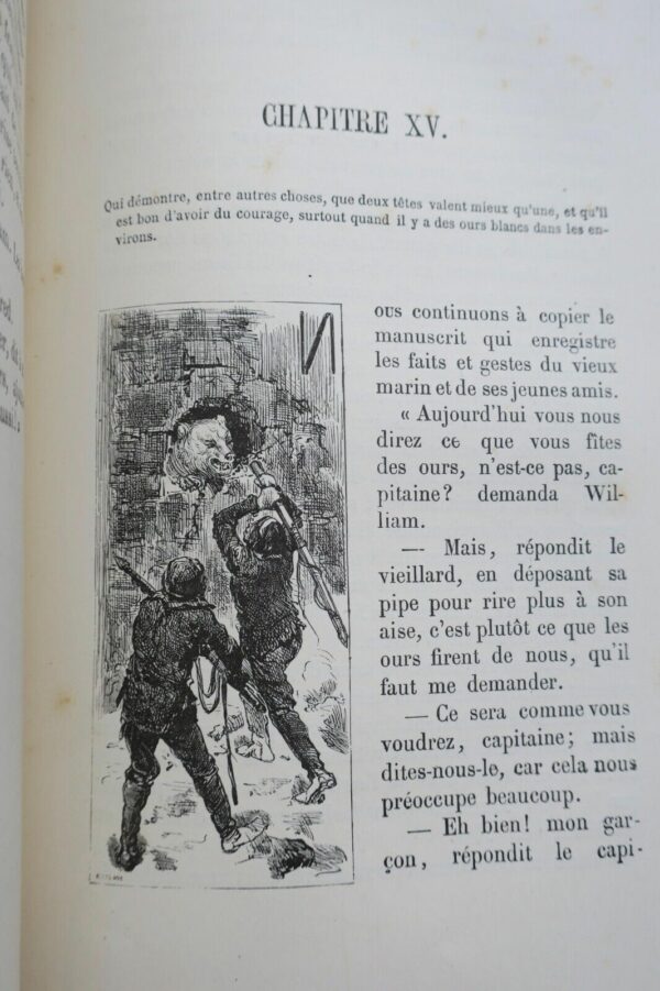 Perdus dans les glaces  Hayes 1875 – Image 11