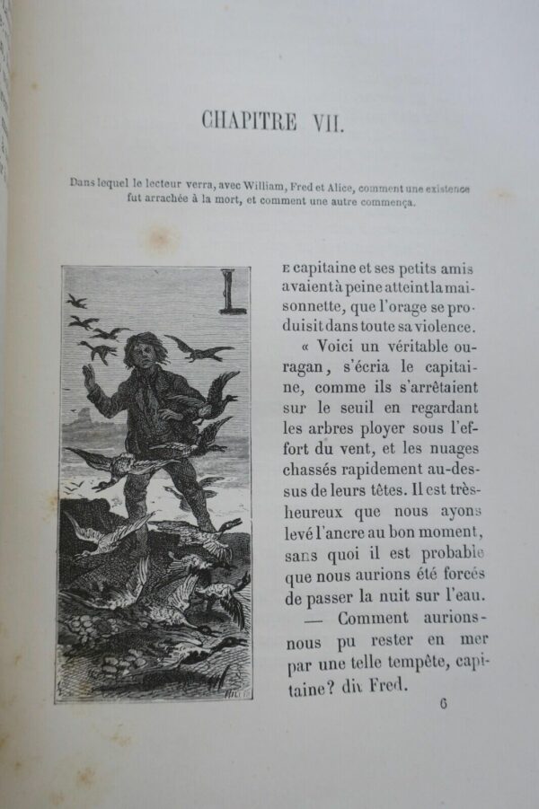 Perdus dans les glaces  Hayes 1875 – Image 14