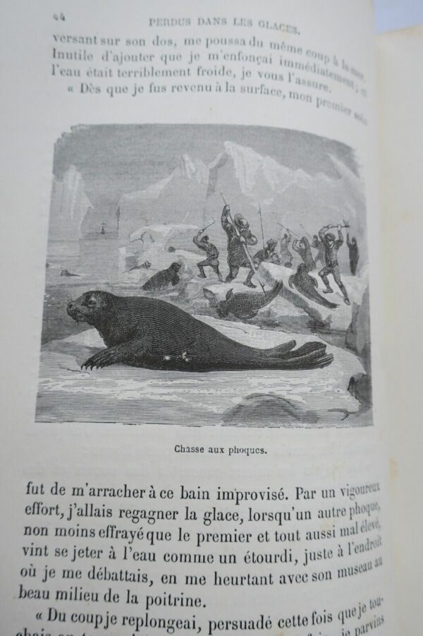 Perdus dans les glaces  Hayes 1875 – Image 8