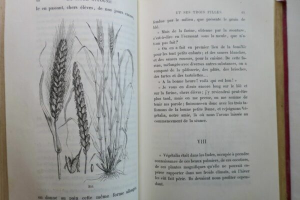 Saintine La Mère Cigogne et ses trois filles illustré Foulquier, faguet... – Image 7