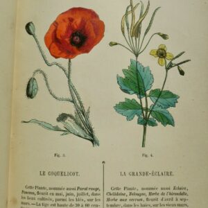 jardin Leçons élémentaires de botanique fondées sur l'analyse Le Maout