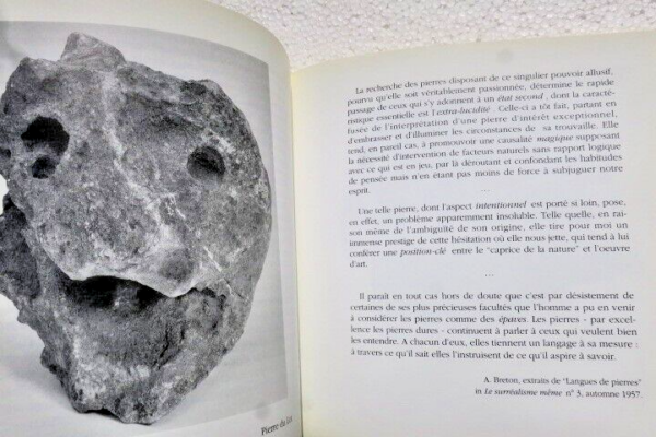 André Breton MAISON RIGNAULT AUTOUR D'ANDRE BRETON : L'ART MAGIQUE – Image 6