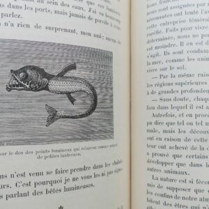 Curiosités de l'Histoire des Bêtes. Causeries familières