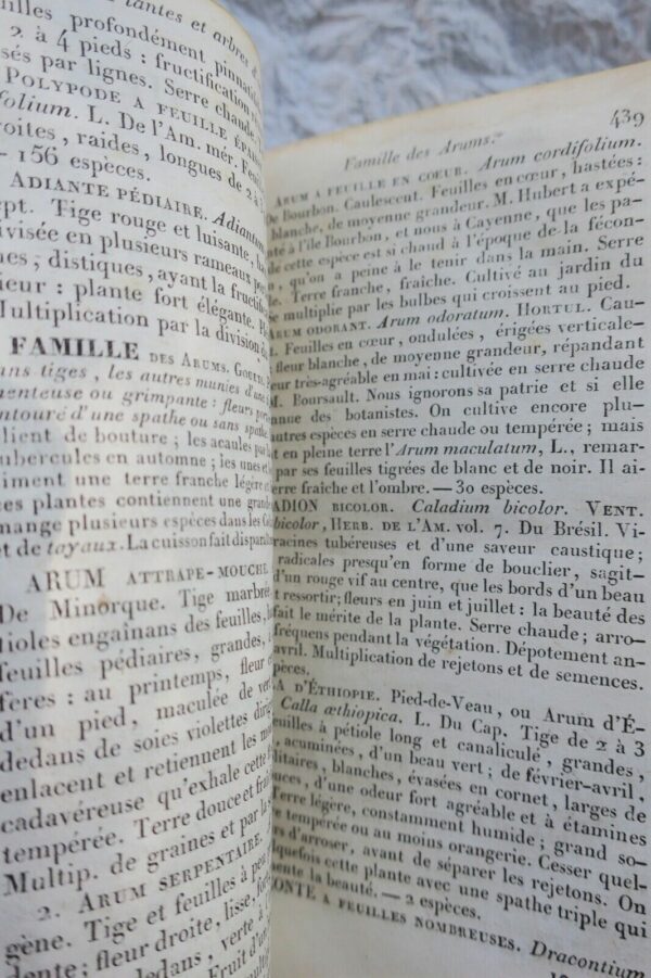 JARDIN bon jardinier. Almanach agricole pour l'année 1830 – Image 6