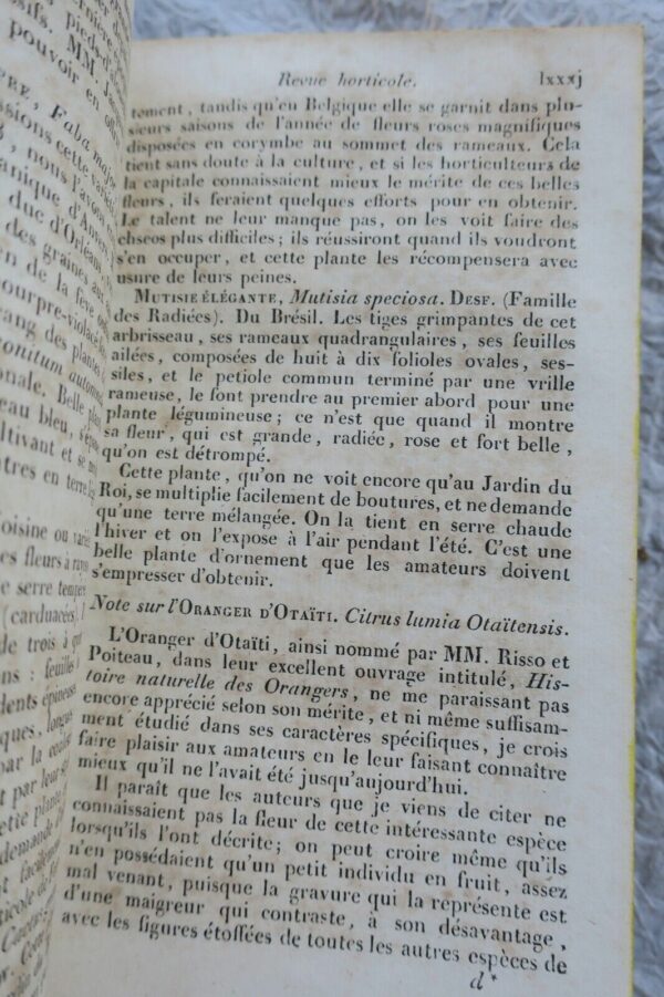 JARDIN bon jardinier. Almanach agricole pour l'année 1830 – Image 9