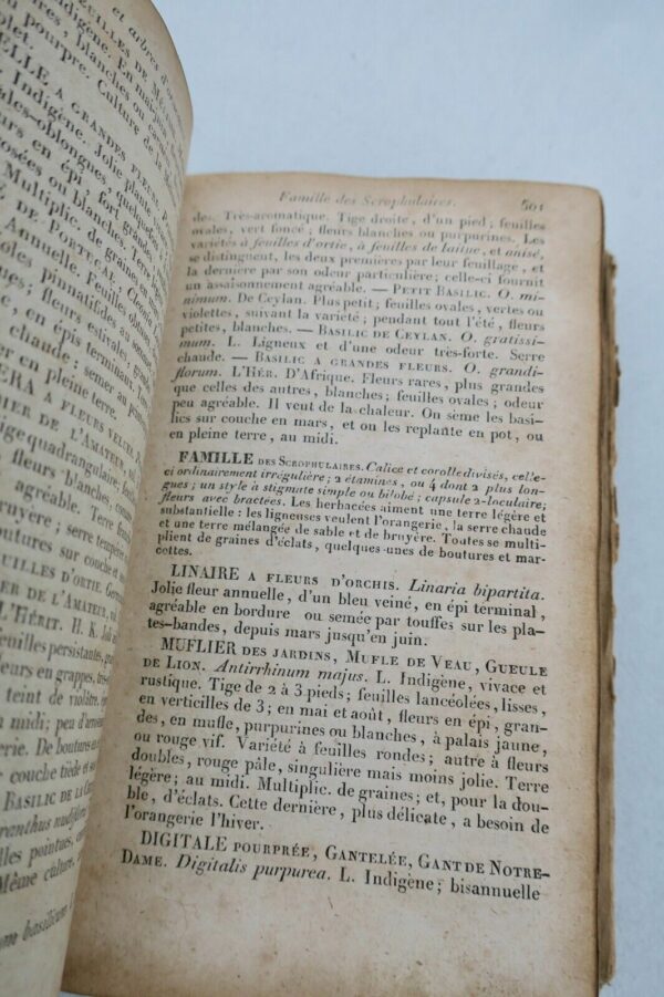 Jardin le bon jardinier 1827 – Image 7