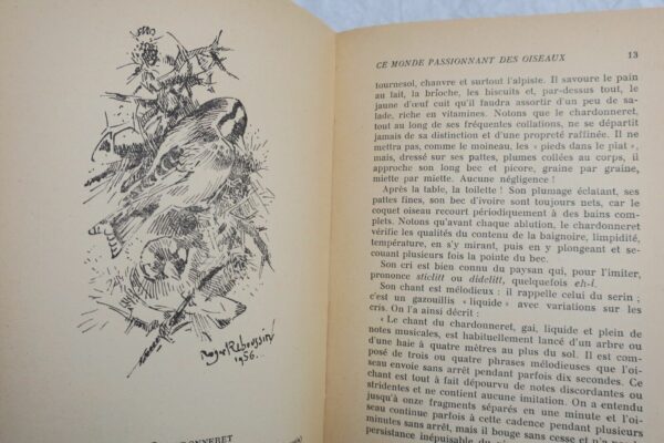 Oiseaux Ce monde passionnant des oiseaux + dédicace – Image 7