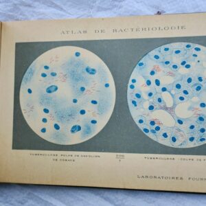 Atlas de bactériologie. Laboratoire Fournier