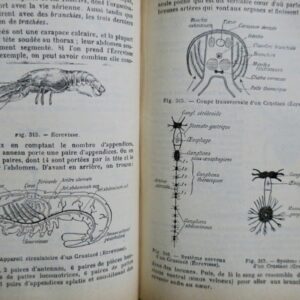 Caustier HISTOIRE NATURELLE 1906