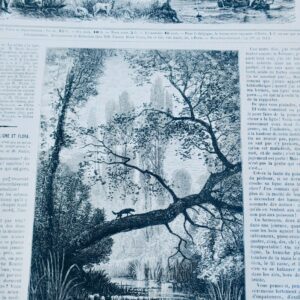 Chasse illustrée - Journal des chasseurs et de la vie à la campagne 1872-73