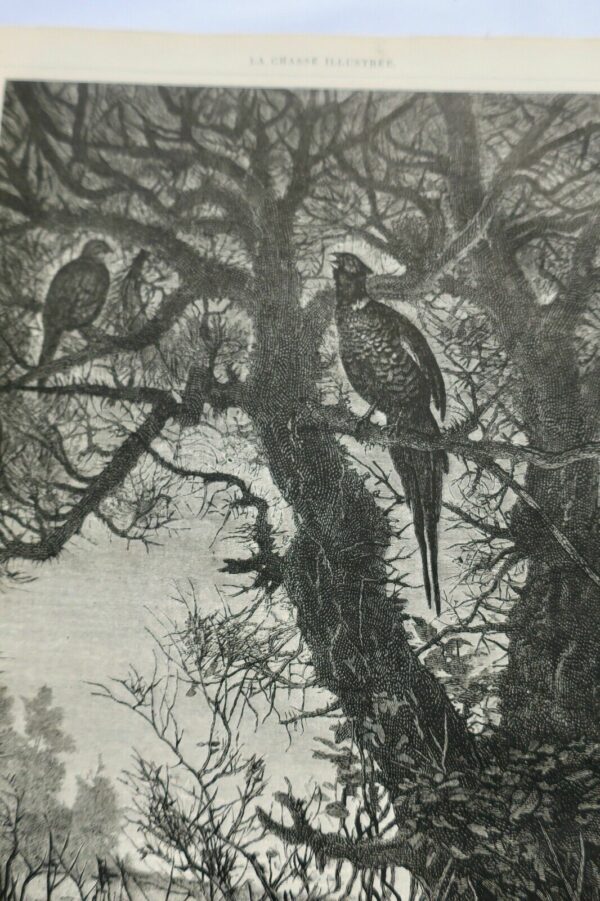 Chasse illustrée - Journal des chasseurs et de la vie à la campagne 1873 – Image 11