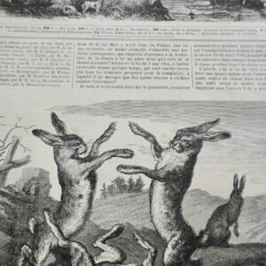 Chasse illustrée - Journal des chasseurs et de la vie à la campagne 1873