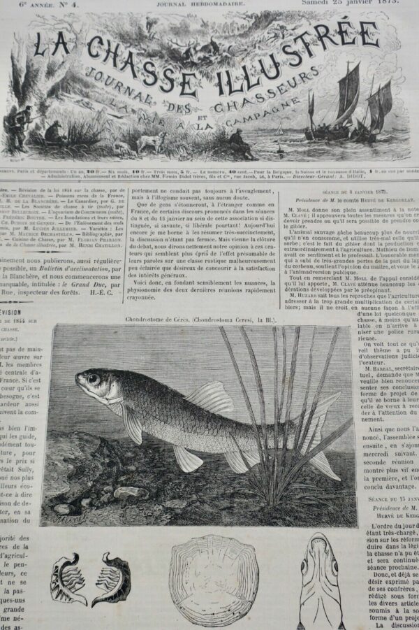 Chasse illustrée - Journal des chasseurs et de la vie à la campagne 1873 – Image 6