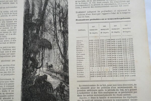 Chasse illustrée - Journal des chasseurs et de la vie à la campagne 1873 – Image 7