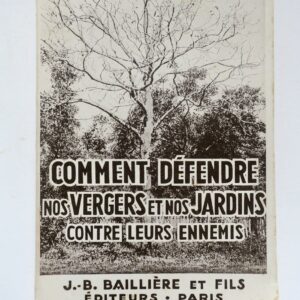 Comment défendre nos vergers et nos jardins contre leurs ennemis